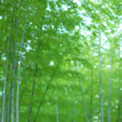 じまさんのプロフィール画像