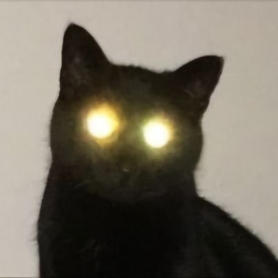 liseuning's profile picture. 탐색 중