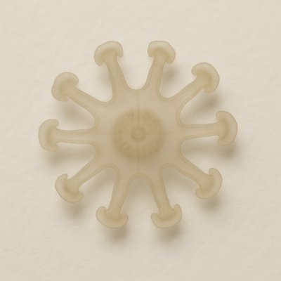 aureliaephyra's profile picture. Drifting on a current. Backend. Devops.