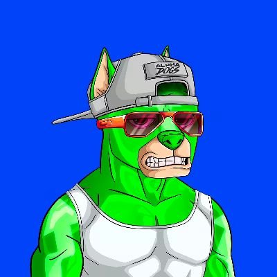 news_yuzuri's profile picture. ape chain is my home 😀😀😀😀