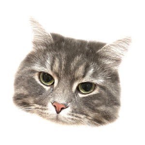 cuinharun's profile picture. pass medschool 🤲🏻👩🏻‍⚕️🌱