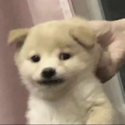 별볼일없는 잡썰계