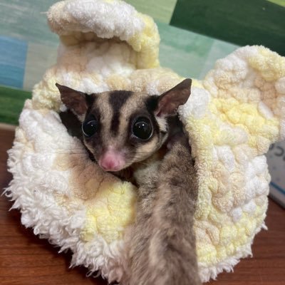 k06z03's profile picture. 