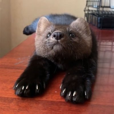 huggysqueezejoy's profile picture. And everybody clapped their hands