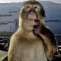 Kahoo (@pltampfr) 's Twitter Profile