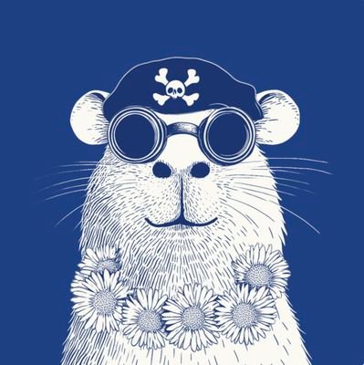 dnnybb's profile picture. Diving deep into Web3. | I'm the liquidity exit. @zerion @zoolininfts maxi