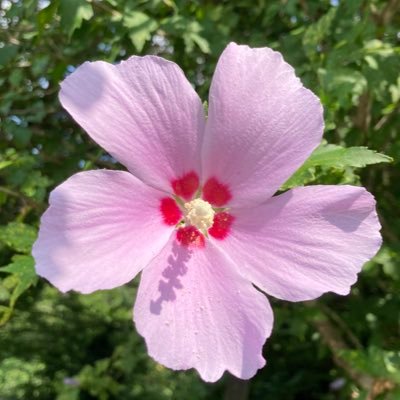 yz76318278_94's profile picture. ⛸#羽生結弦 くん応援📣 Pは北京のP❣️北京春ちゃん🌸オチ。羽生くんの⛸✨を一生応援🥹Twitter🔰無言ﾌｫﾛｰ＆遅リプ🙏。推し活は楽しく❣️誹謗中傷❌副業系お断り❌ #ゆづ活ケンコー促進部 ﾅﾝﾁｬｯﾃ #🎹部🔗羽生くん公式@YUZURUofficial_