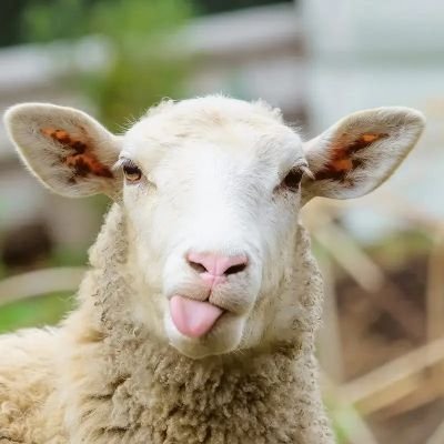 Myvoice5864's profile picture. Ddu llb