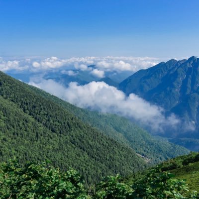 7hKKk7cTt527901's profile picture. 地道に活動していきます😊