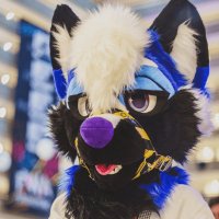๐AtheloFox ๐ (@athelofox) 's Twitter Profile Photo ๐AtheloFox ๐ (@athelofox) 's Twitter Profile Photo