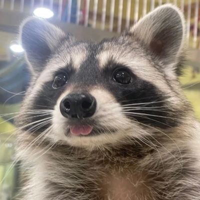 레몬さんのプロフィール画像