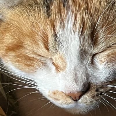 みみさんのプロフィール画像
