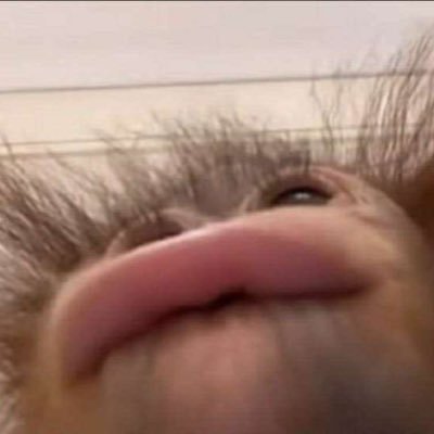 wHeyMango's profile picture. professional python and microsoft hater
Hi OF bots