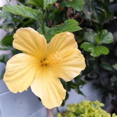 01g534939's profile picture. 旅に出よう🚢