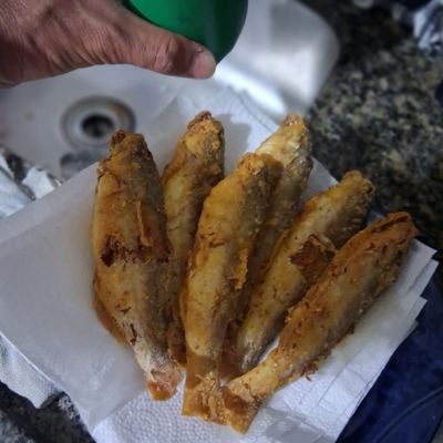 Trabalho Pelo Instagram Criador De Conteúdo