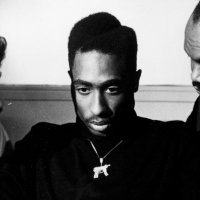 Antipopular (@antisopopular) 's Twitter Profile
