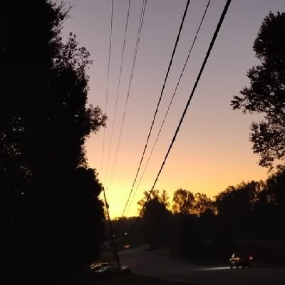 MarcelDowd75276's profile picture. 