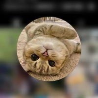 Xee (@xee_29) 's Twitter Profile Photo Xee (@xee_29) 's Twitter Profile Photo