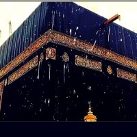 عبدالرؤوف الرايس (@alraysalrays08) 's Twitter Profile