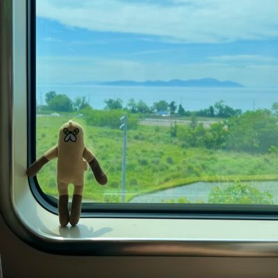 どとるさんのプロフィール画像