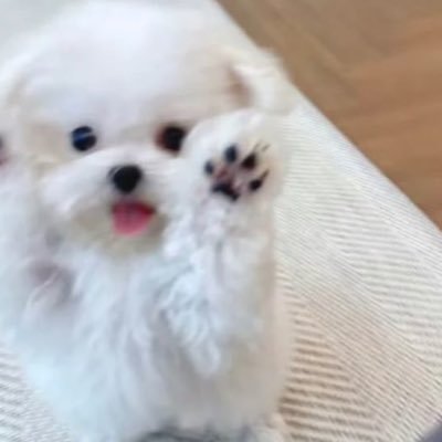 qzli9u's profile picture. 