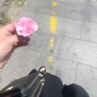 ♍Tipik BAŞAK kadını💃 (@akln_mine) 's Twitter Profile