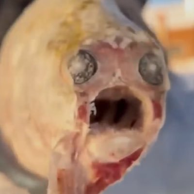 とむやくんさんさんのプロフィール画像