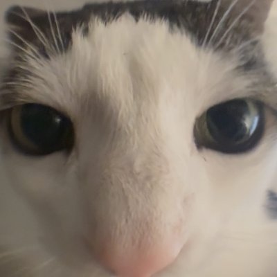 CabethBT's profile picture. Holiiiiis  Yo soy Cabeth y de paso tambien streamer chikito https://t.co/aQ5VjZ2xBc