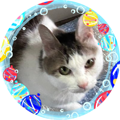 かるぼうさんのプロフィール画像