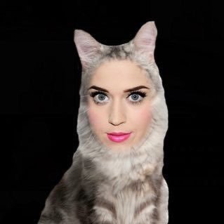 Katy’s #1 fan 💋🐱 Loves music 🎶 💿 Reads 📚 Journaling ✍️ Been a fan since I was 5 😽 The nicest Katy cat you’ll ever meet 🤗🥰 Also I follow back 👍
