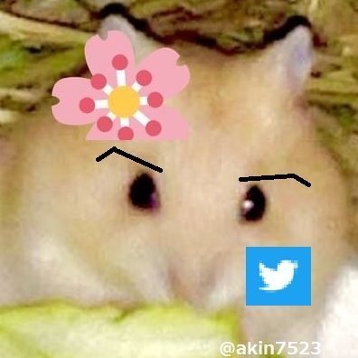 ちびた　んさんのプロフィール画像