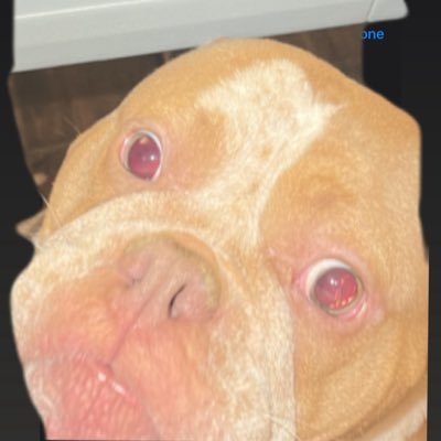 DrippySlerv's profile picture. 