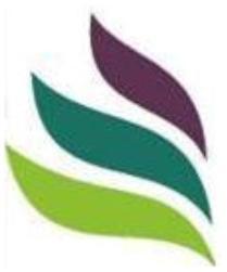 IndiaFinanceSol's profile picture. 