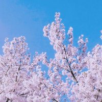 b (@the_predawn) 's Twitter Profile