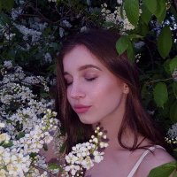 Catherine (@caitlin1892) 's Twitter Profile