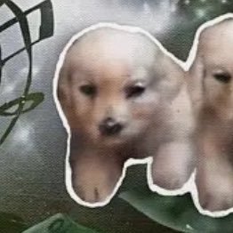 andcar3ds's profile picture. tuxox bully official account.