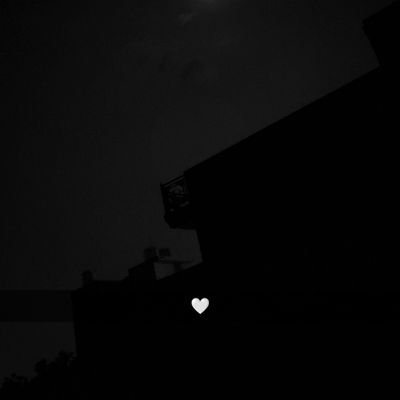 shad921z's profile picture. Building @labaitec