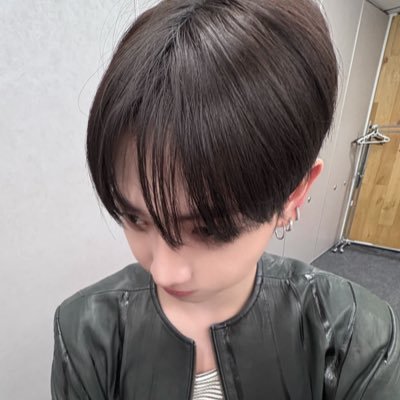 #회색고양이만들기 #명량현도그