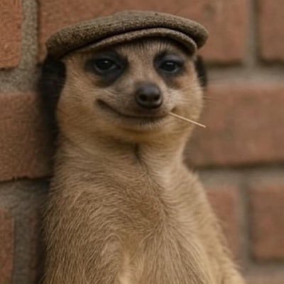 duckman122432's profile picture. Do not judge what you don’t understand