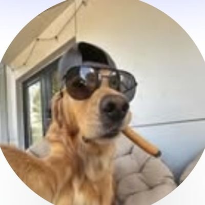 AdityaR64409469's profile picture. So Confused || Bihar Politics || My POV  ||