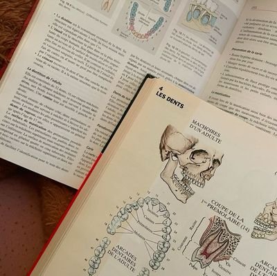 chewreyuan's profile picture. goltick + snbp  ua '25 | Stovit'25 🦷
I am a prospective dentist who studies at Stovit.
