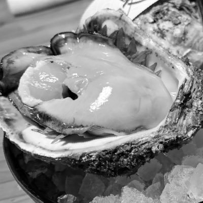 Shinmei_01108's profile picture. 成人済み20↑ マスター兼開拓者兼トレーナー兼P ーーーFGO・スタレ・ウマ娘(たまに学マス・プロセカ) ーーーーー獅子心王・エリち・テュフォンはいいぞぉ！！！！！！！！無断フォロー失礼します(ｽﾏﾝ)そして気軽にフォローして下さい！