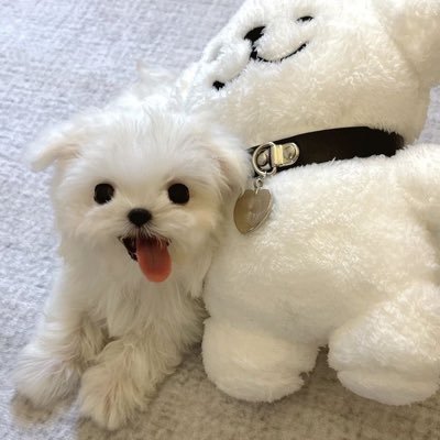 fan acc: หม่าม้าลูกเหมียว 🐱🍼💖🧶 EN- #JUNGWON, #SANGWON, #NEXnattakit, #JackieJackrin