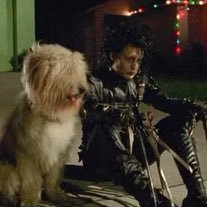 w2ter's profile picture. wake up…