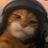 LitMoosa's profile picture. 🎬 Video Editor & Content Creator.