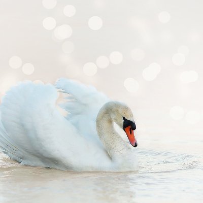 MazuryPark's profile picture. MAZURY Park