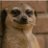 hp90112's profile image