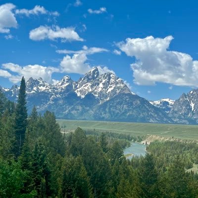 davidcurtin09's profile picture. 