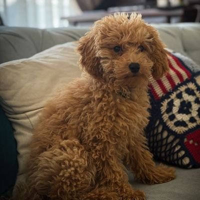 Divinel40773113's profile picture. “Just a good man with a kind heart, a sharp mind, and a quiet drive to make life better — for myself and the ones I love. I believe in loyalty, good conversatio