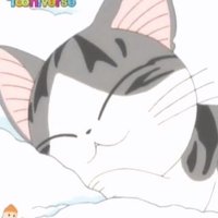 니 (@nnggmmbb) 's Twitter Profile